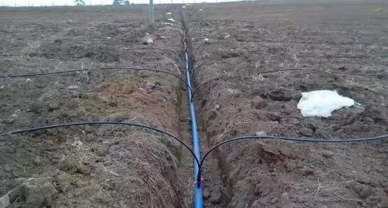 臺塑華亞PVC灌溉管